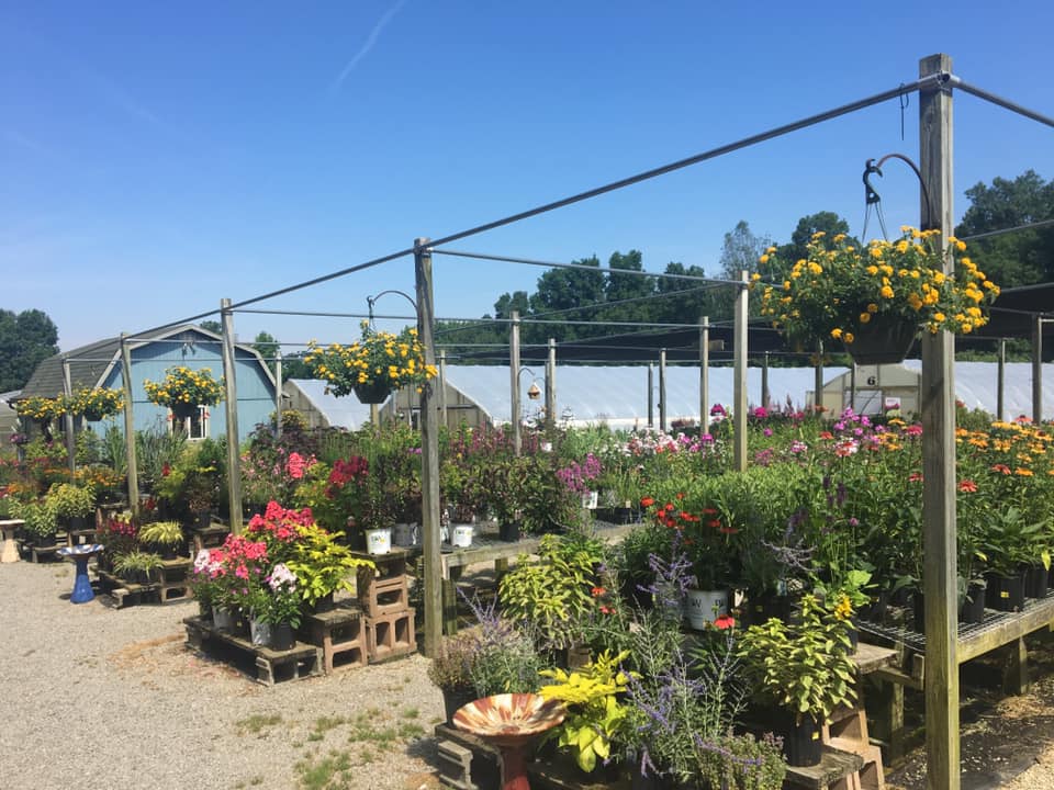 Country Colors Greenhouse Ohio Featured